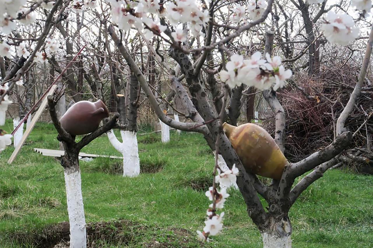 Three Jugs B&B Jrvezh エクステリア 写真