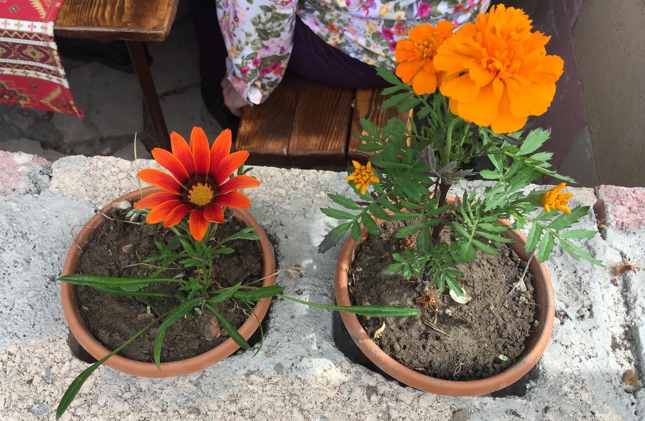 Three Jugs B&B Jrvezh エクステリア 写真